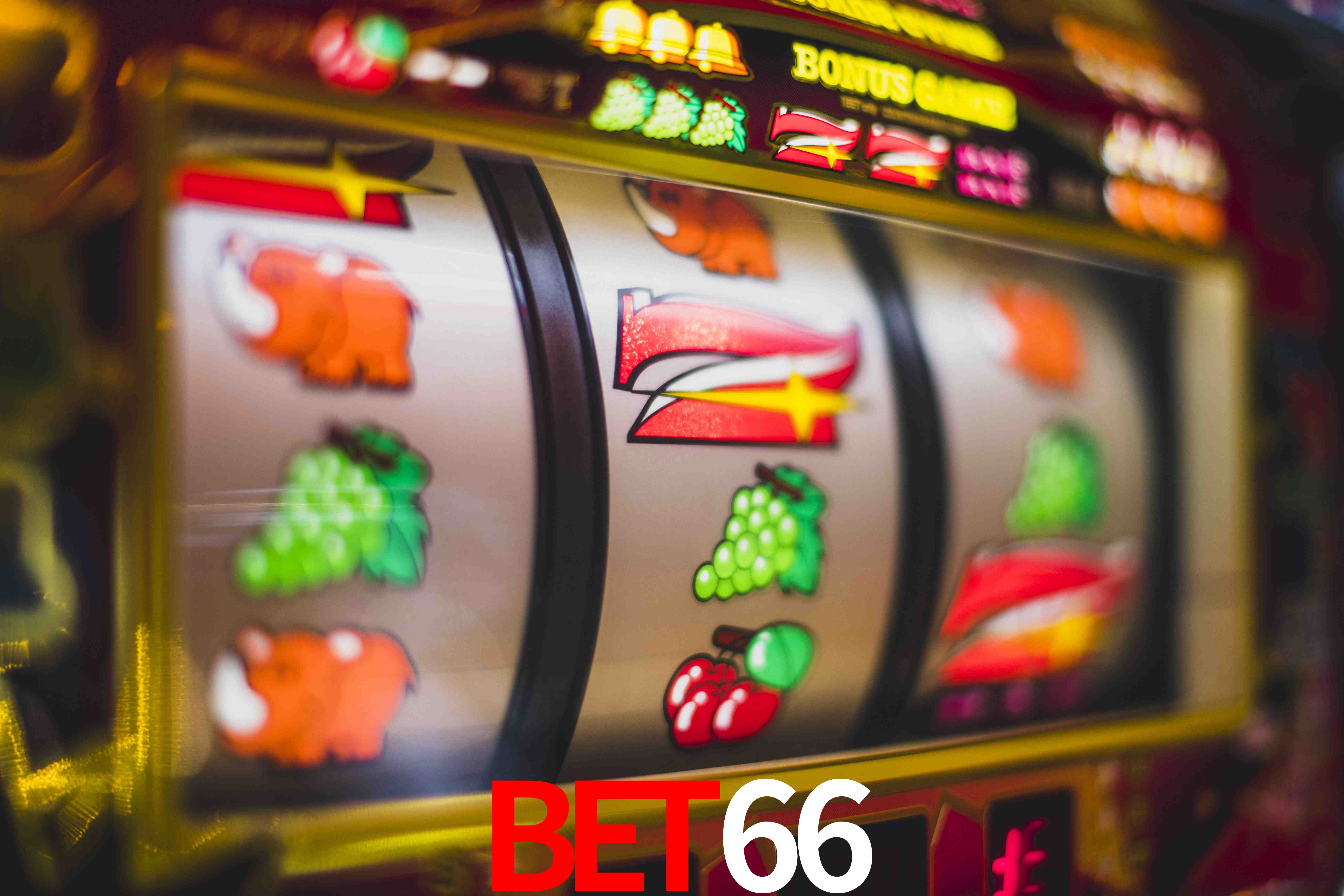 Experiência VIP bet66