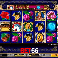 bet66 Brasília - Casino Guide